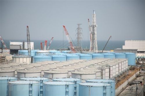 Sắp thảo luận kế hoạch của Nhật Bản về xả nước thải từ Fukushima