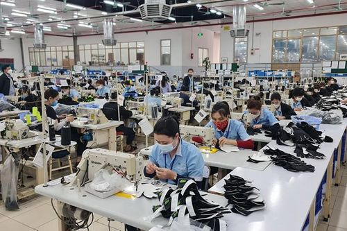 Hỗ trợ doanh nghiệp Nghệ An xuất khẩu hàng hóa sang Nhật Bản – Hàn Quốc