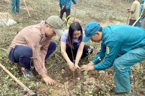 Từng bước nâng cao chất lượng môi trường không khí
