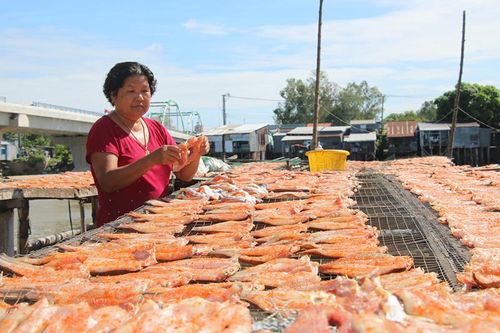 Thực hiện xây dựng nông thôn mới gắn với tái cơ cấu ngành nông nghiệp