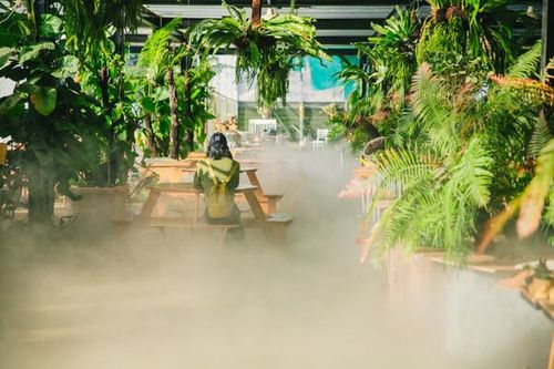 Thiên Đường Săn Mây Cầu Đất - Địa điểm săn mây lý tưởng tại Đà Lạt