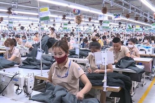 Hàng nghìn thủ tục mới phát sinh nói lên điều gì?