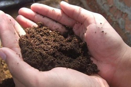 Lào Cai: Hai mẹ con tử vong do điện giật khi đang đầm nền nhà
