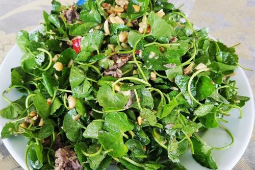 Loại rau vị đắng mọc dại nhưng là dược liệu quý cho sức khỏe