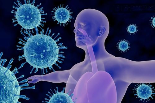 Hệ miễn dịch 500 triệu năm tuổi của con người