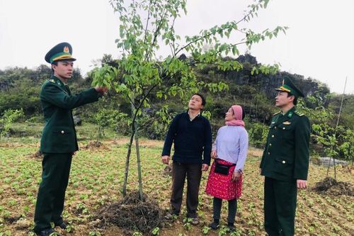 Dựng 'phên dậu xanh' nơi miền biên viễn (bài 2)