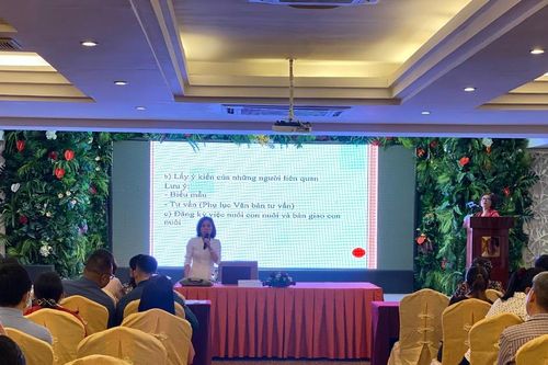 Cục Con nuôi tập huấn nghiệp vụ đăng kí nuôi con nuôi trong nước