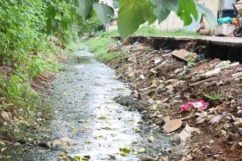 Cận cảnh các kênh mương nước ô nhiễm, ngập ngụa rác và nước thải đen ngòm giữa lòng Hà Nội
