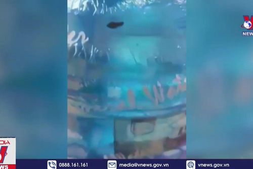Tạm dừng sản xuất, kinh doanh một phần cơ sở cung cấp bình nước đóng chai có đỉa