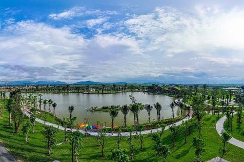 45 ngày biến vùng đất hoang sơ thành đại công viên xanh lớn nhất miền Trung