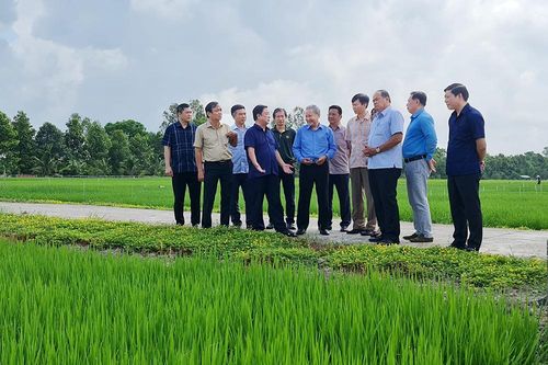 Bộ trưởng Bộ Nông nghiệp và Phát triển nông thôn Lê Minh Hoan thăm Tập đoàn Lộc Trời và Nam Việt