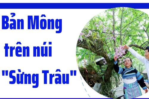 Bản Mông trên núi 'Sừng Trâu'
