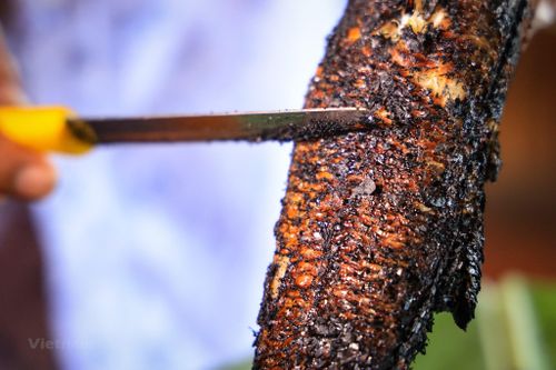 Về miền Tây sông nước thưởng thức đặc sản vùng rừng U Minh