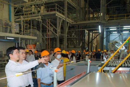 Viglacera đưa ra thị trường gạch ốp lát kích cỡ 'khủng'