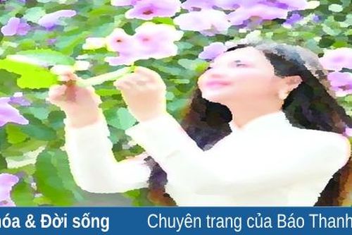 Ở ngoài kia khung cửa...