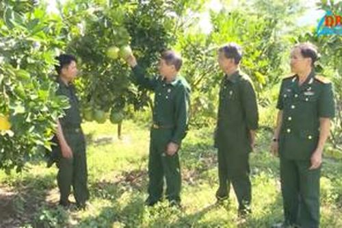 Cựu chiến binh Mường Chà phát huy phẩm chất bộ đội Cụ Hồ