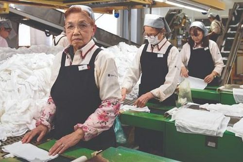Già hóa dân số và vấn đề việc làm