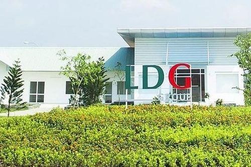 LDG bị kiểm toán lưu ý việc chậm thanh toán lãi lô trái phiếu 400 tỷ đồng