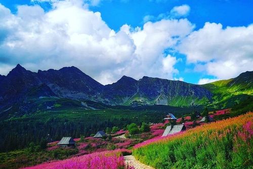 6 điểm ngắm hoa ít người biết ở châu Âu