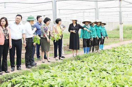 Hà Nội gỡ 'nút thắt' để phát triển nông nghiệp