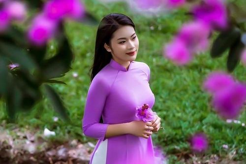 Hoa bằng lăng nở rộ làm tím rực nhiều góc đường Hà Nội