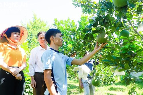 Ủy ban nhân dân tỉnh Nghệ An ban hành kế hoạch giảm nghèo bền vững