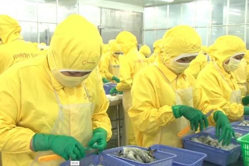 Xuất khẩu tôm sang thị trường Hàn Quốc đang đối diện với khó khăn nào?