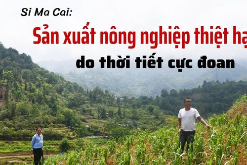 Sản xuất nông nghiệp thiệt hại do thời tiết cực đoan