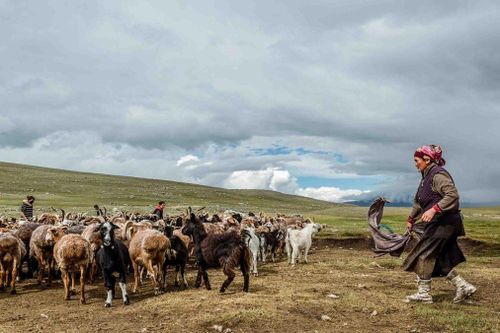 Khúc tráng ca du mục của đất nước đa sắc tộc Kazakhstan