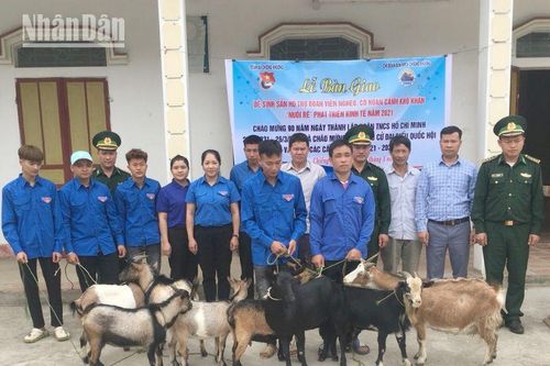 Hiệu quả 'ngân hàng dê' ở vùng biên giới Sơn La