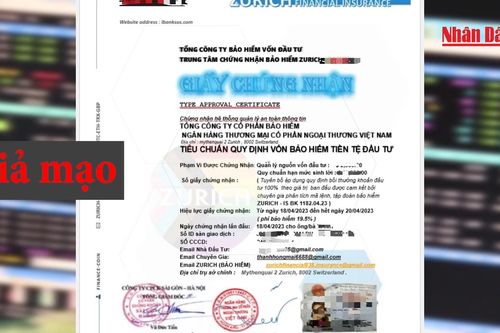 Miếng mồi hấp dẫn và cạm bẫy lừa đảo chứng khoán quốc tế