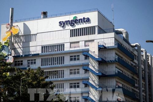Tòa án Pháp cấm bán thuốc diệt cỏ chứa glyphosate