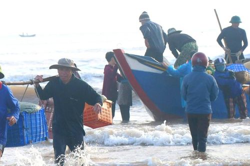 Ngư dân Hà Tĩnh trúng đậm cá biển