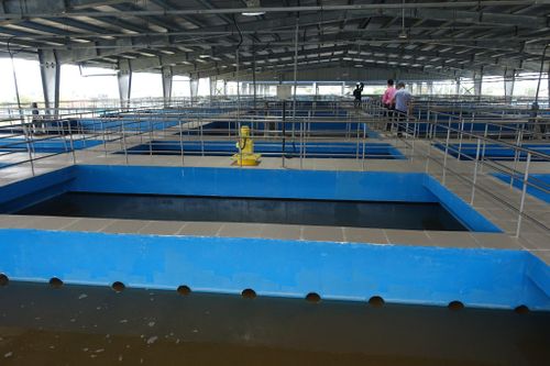 Chốt thời gian vận hành nhà máy nước 1.000 tỷ ở Đà Nẵng