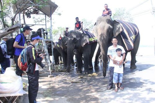 Du lịch thân thiện với voi - Hướng đi nhân văn