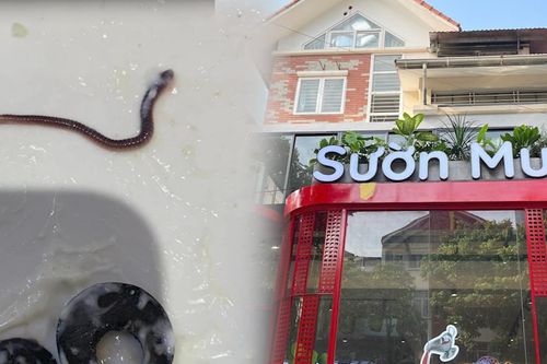 Đĩa salad có 'sinh vật lạ' ngoe nguẩy, nhà hàng sườn nổi tiếng Hà Nội nói gì?