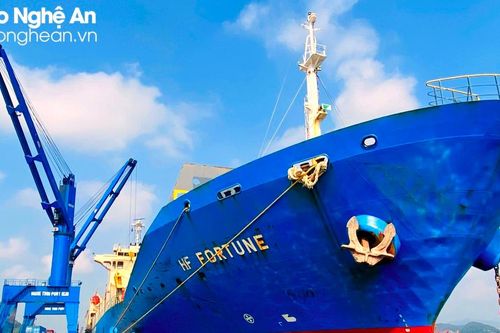 Cảng Cửa Lò đón chuyến tàu container quốc tế đầu tiên trong năm 2023