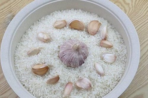 Vùi củ tỏi vào thùng gạo, ai cũng bất ngờ khi thấy kết quả