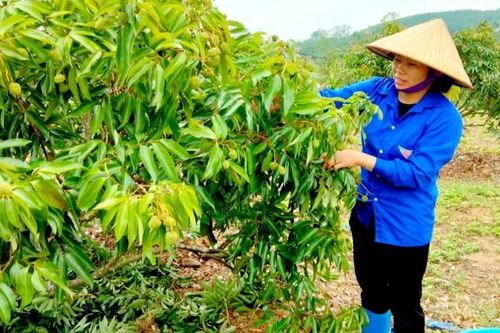 Cô Bí thư Đoàn dân tộc Cao Lan: Tuyên truyền phù hợp sẽ giúp người dân thay đổi hành vi