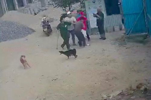Về vụ 'Giám đốc và thuộc cấp bị hành hung ở công trình dự án chợ Lăng Cô': Hợp tác xã Nam Việt - Lăng Cô nói gì?