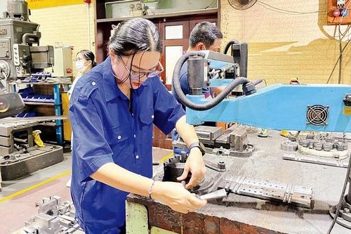 Tham gia chuỗi cung ứng toàn cầu: Cần nhiều hỗ trợ hơn cho doanh nghiệp nội