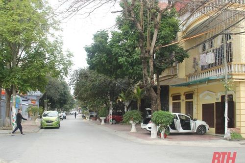 Xây dựng phường kiểu mẫu Tân Sơn – Kết quả và kinh nghiệm
