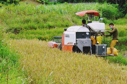 Quảng Ninh: Tỷ lệ hộ nghèo theo chuẩn nghèo đa chiều còn dưới 0,05% vào cuối năm 2025