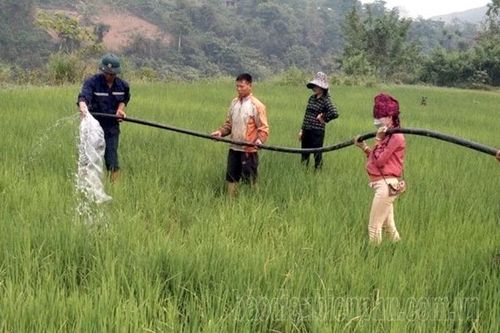 Sản xuất nông nghiệp gặp khó vì khô hạn