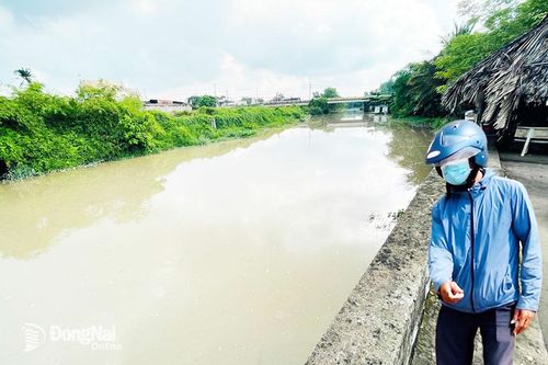 Cứu lấy dòng sông Buông