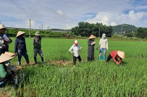 Đào tạo những chuyên gia quản lý 'sức khỏe' cây trồng