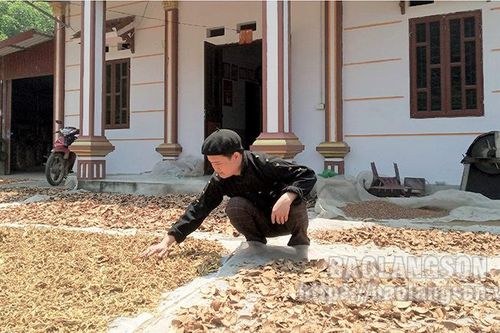 Hội Đông y xã Nhất Hòa: Kế thừa và phát huy tinh hoa y học cổ truyền