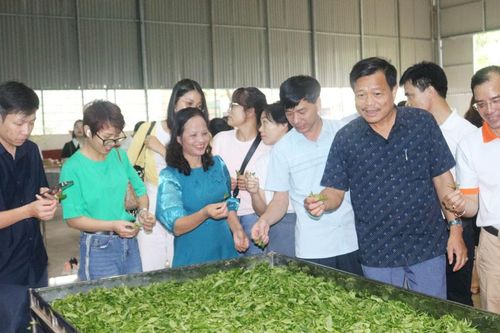 Famtrip quảng bá du lịch cộng đồng tại Thái Nguyên
