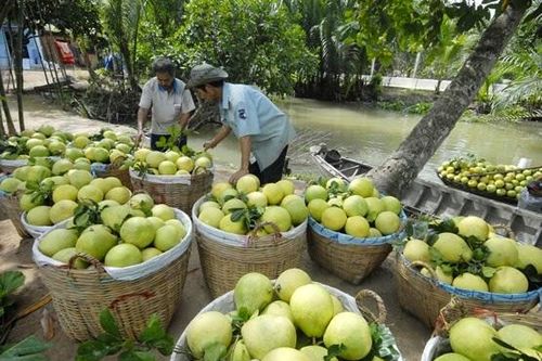 Kết nối doanh nghiệp tỉnh Trà Vinh với các sàn thương mại điện tử
