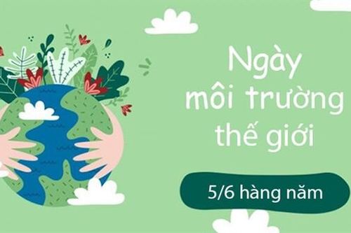 Ngày Môi trường Thế giới 2013: 'Hãy nghĩ về môi trường trước khi tiêu thụ thực phẩm'